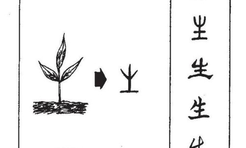 猪连贴的功效与作用及禁忌-猪连贴的功效与作用网 | 猪连贴的功效与作用图片,猪连贴的功效与作用图片